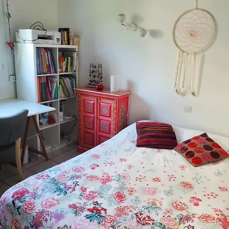 Jolie Maison Sous Les Pins